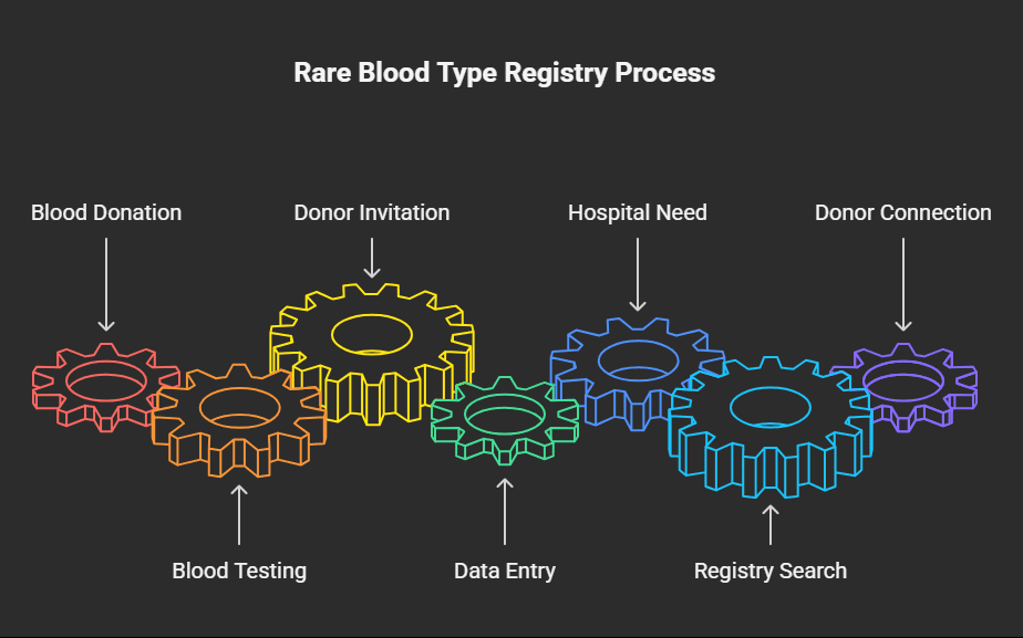 Blood Type Registry Process