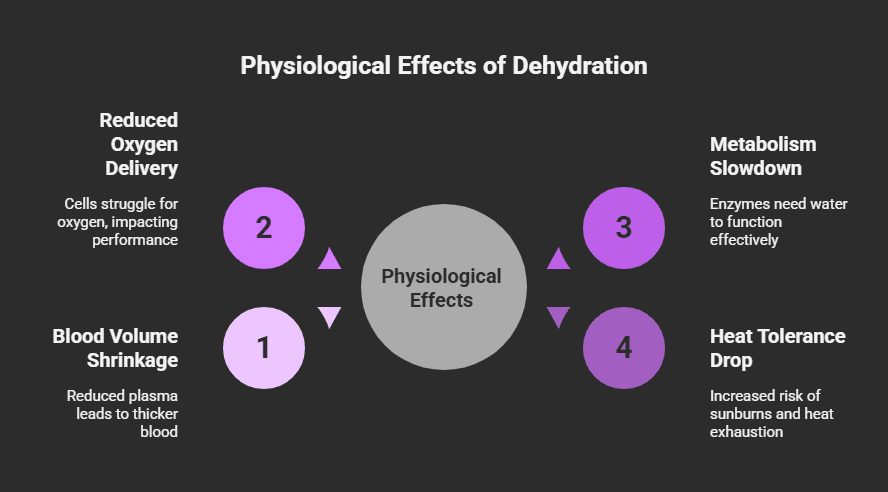 Effects of Dehydration