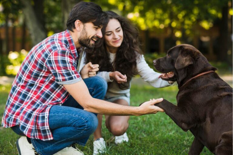 Socializing your Puppy