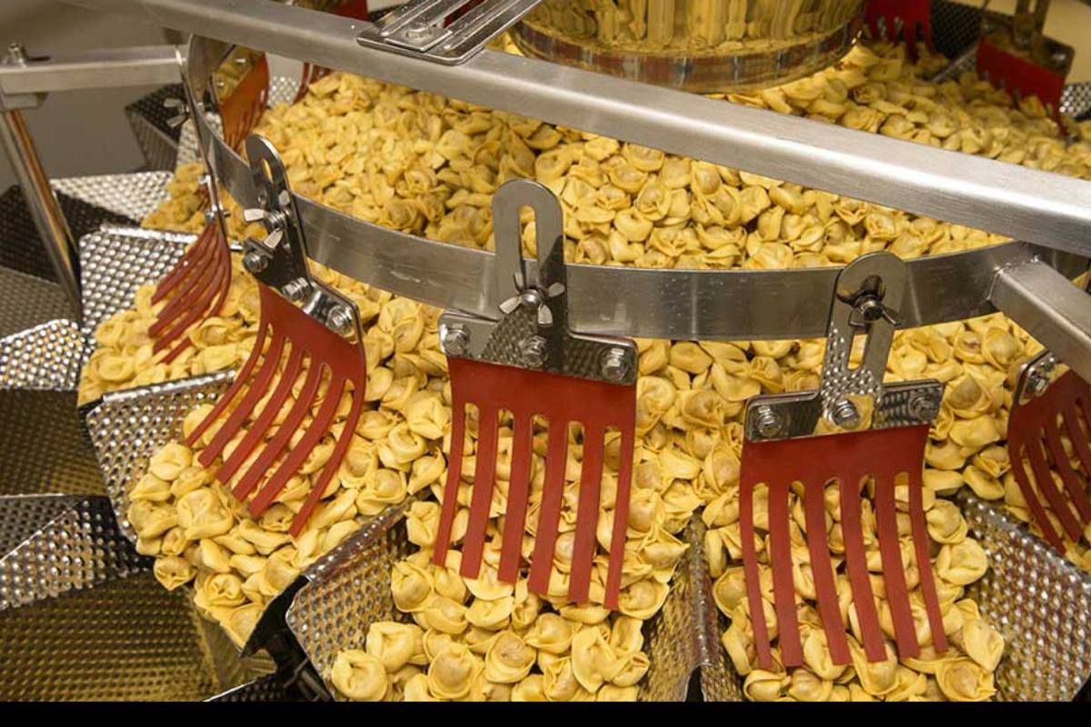 food processing scheme