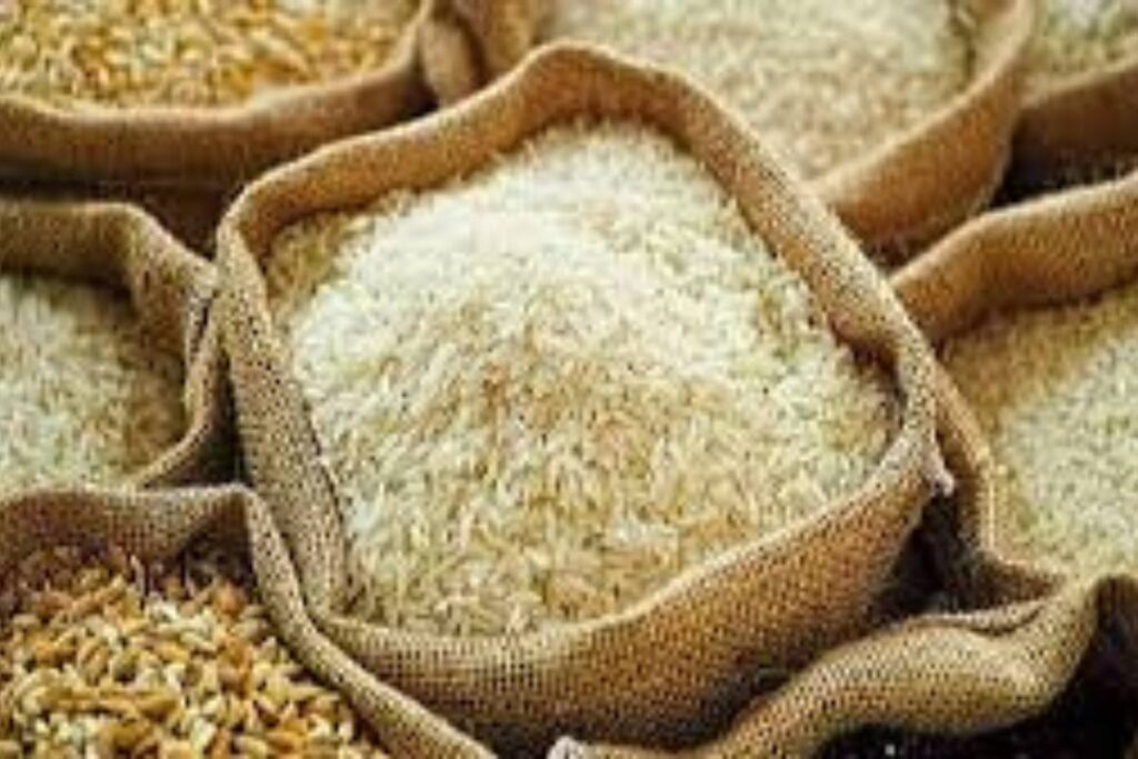 Indian Basmati Rice Exports Hit by US Tariffs